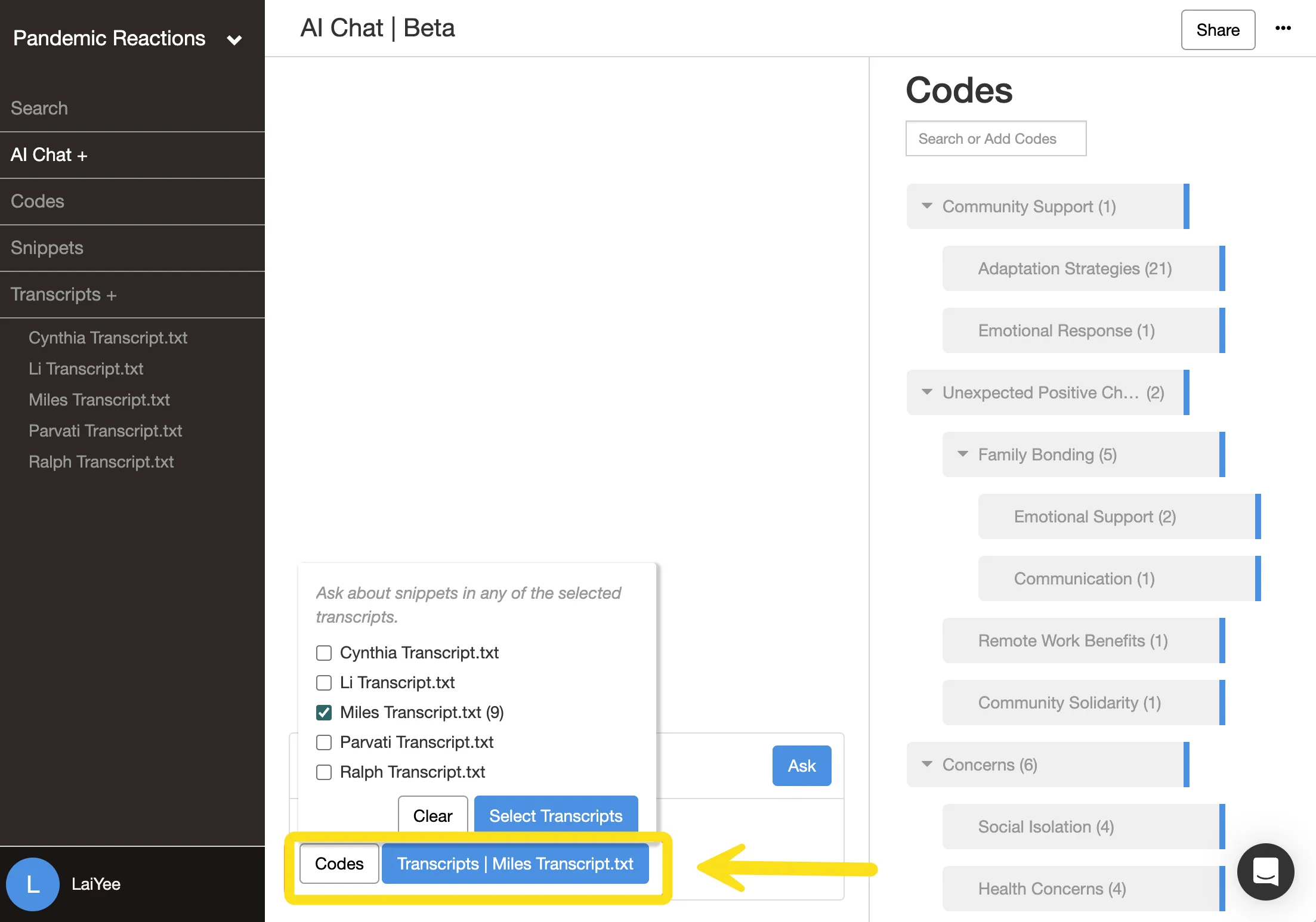 Delve AI Chat with code and transcript filters
