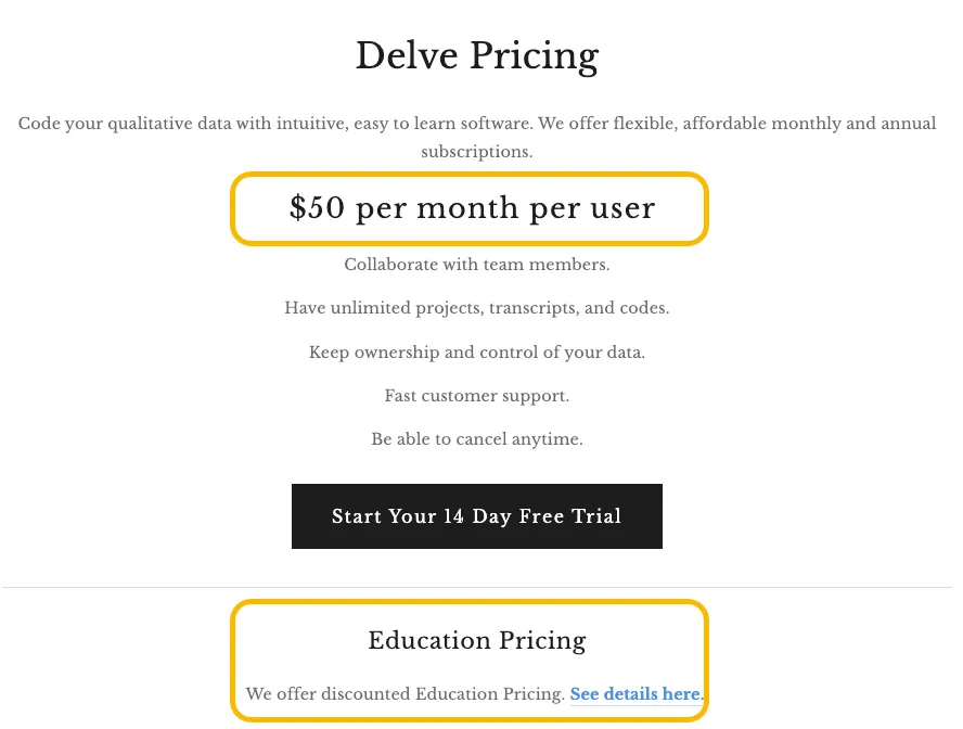 Delve team coding interface