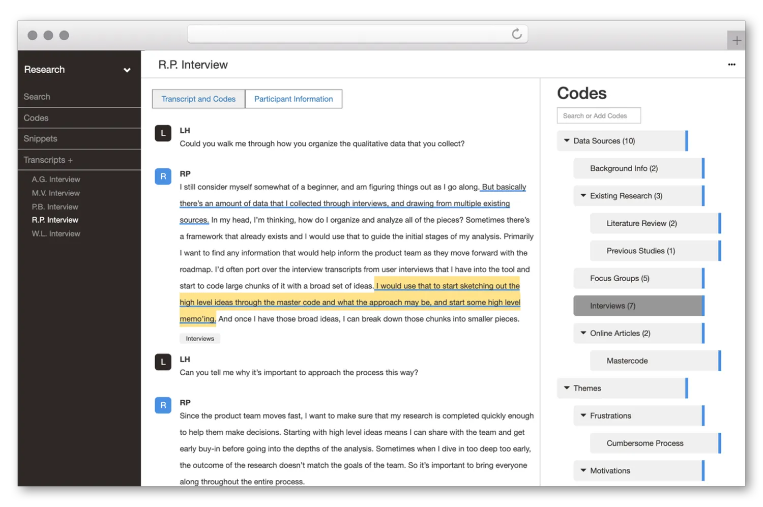 Delve qualitative coding interface