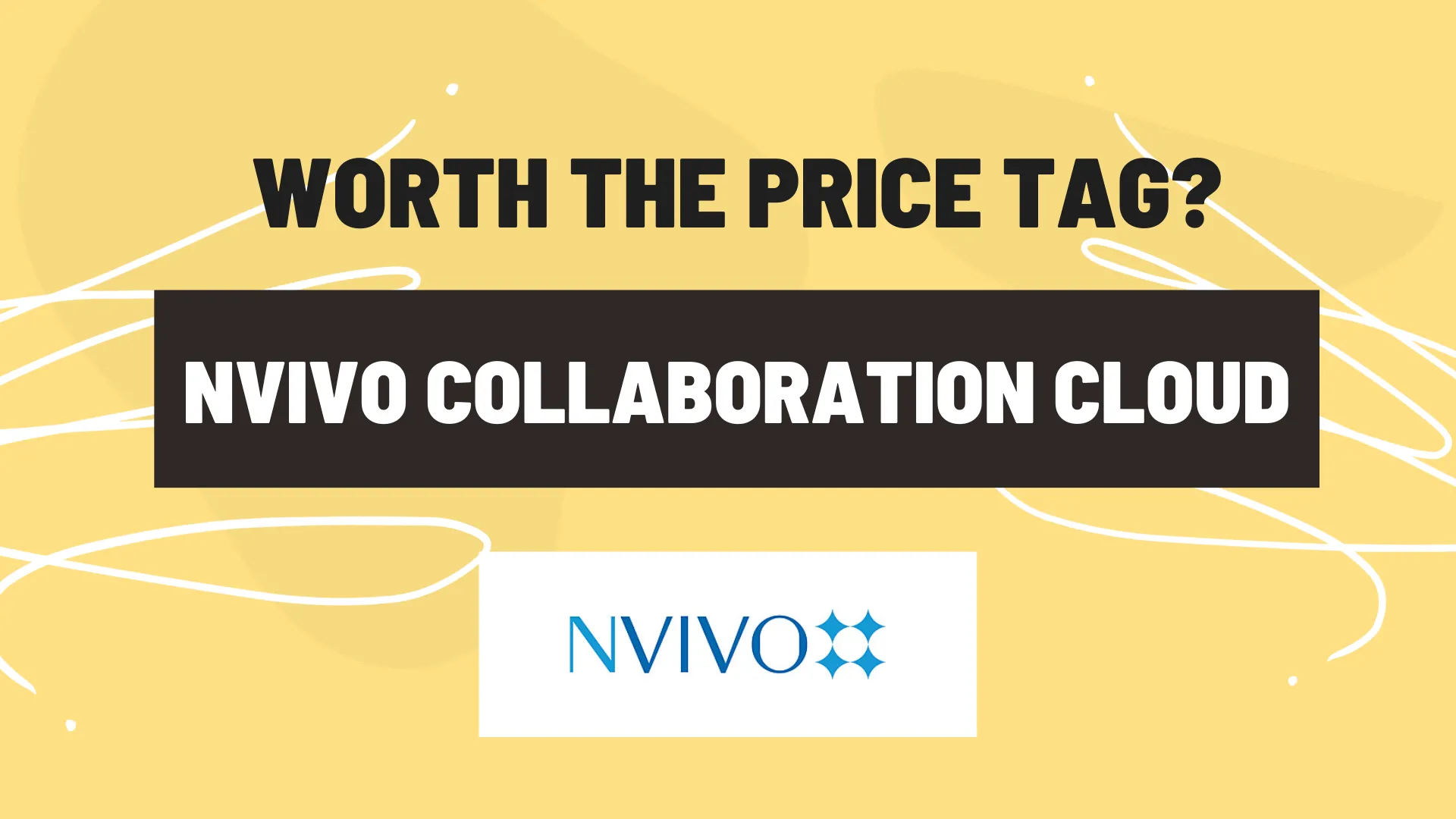 NVivo Collaboration Cloud reviewed by Delve qualitative data analysis software