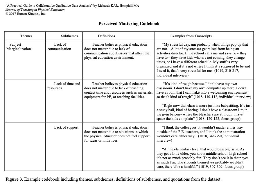 Perceived Mattering Codebook with examples