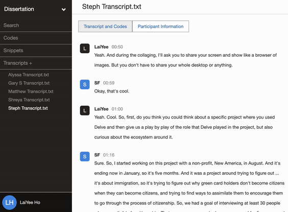 Add memo to code snippets in Delvetool qualitative coding software. 